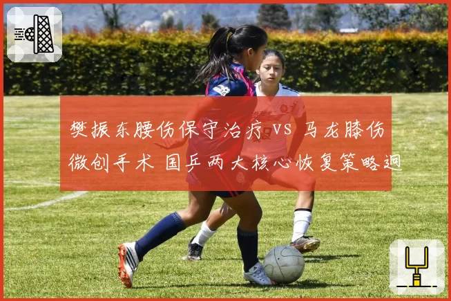 樊振东腰伤保守治疗 vs 马龙膝伤微创手术 国乒两大核心恢复策略迥异