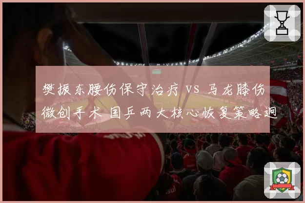樊振东腰伤保守治疗 vs 马龙膝伤微创手术 国乒两大核心恢复策略迥异