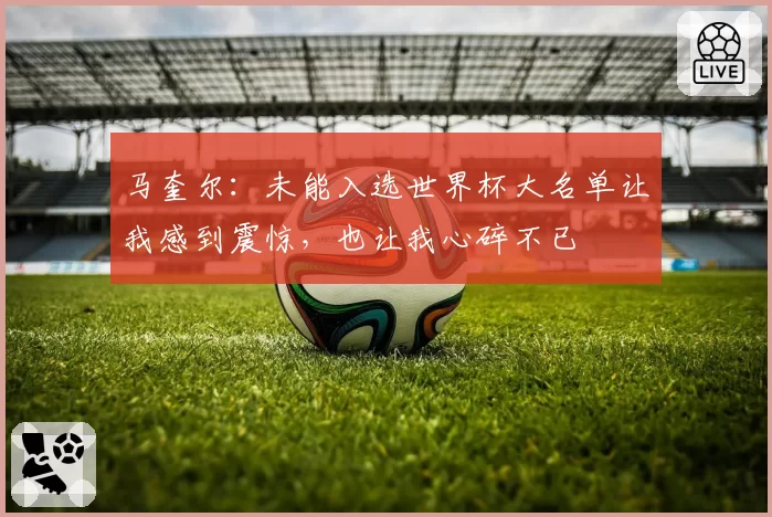 马奎尔：未能入选世界杯大名单让我感到震惊，也让我心碎不已