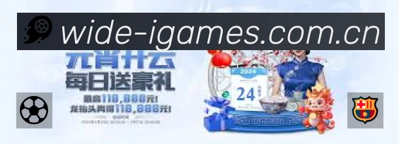 关于 爱游戏